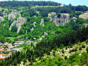 Village Borovo