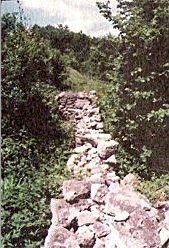 Ruins of the old monastery